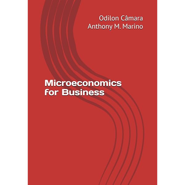 General Competitive Analysis (Volume 12) (Advanced Textbooks in